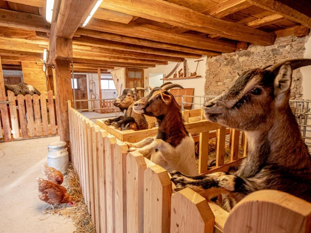 Zeiserhof Ramsau am Dachstein Εξωτερικό φωτογραφία