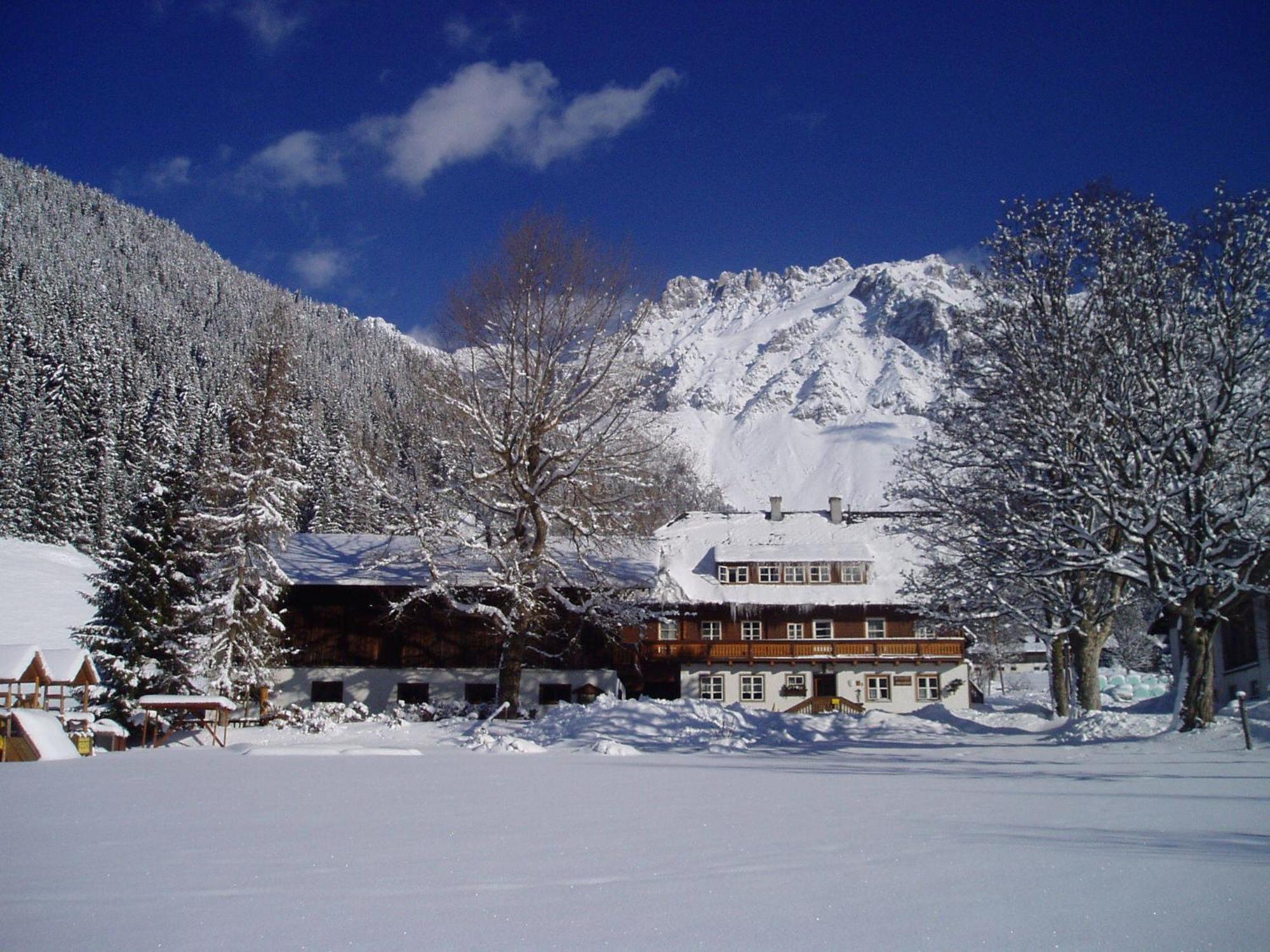 Zeiserhof Ramsau am Dachstein Εξωτερικό φωτογραφία